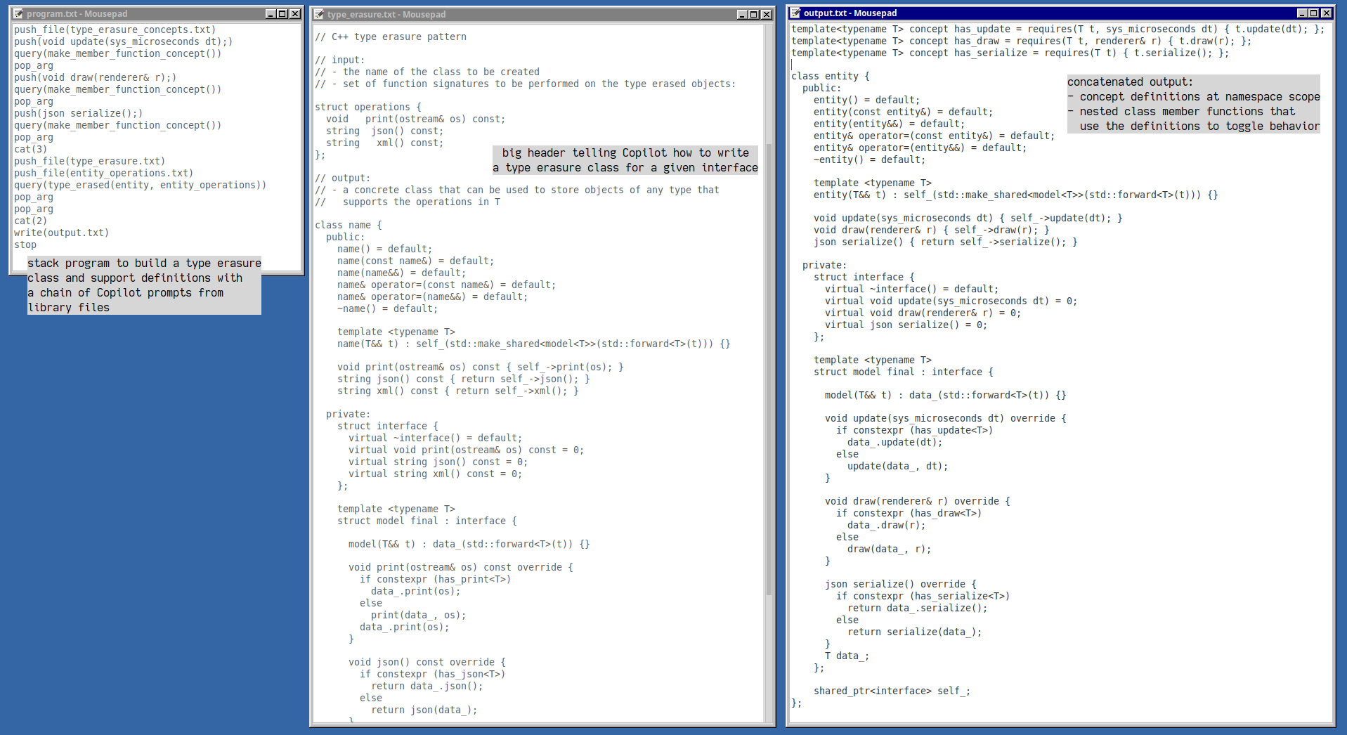 type erasure program, full output